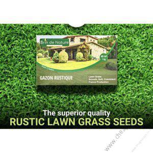 Brin De Nature Gazon Rustique Lawn Grass (1kg)