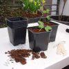 Generic Plastic Propagation Pot 7 X 7 X 6.5 Cm, (Pack OF 12)