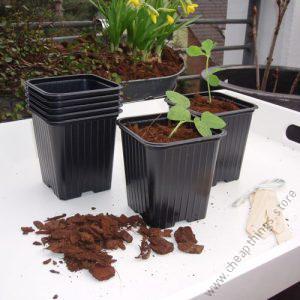 Generic Plastic Propagation Pot 7 X 7 X 6.5 Cm, (Pack OF 12)