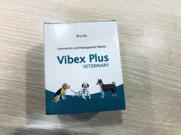 Vibex Plus Tablets (2 Tablets)