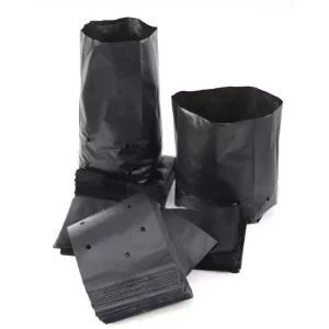 Planting bags 4x6 per pc