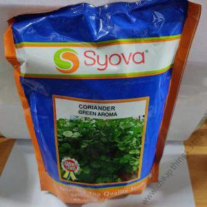 Corriander Green Aroma (10g)