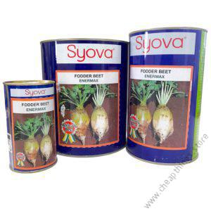 Fodder Beet- Enermax (50g)