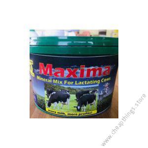 Maxima Mineral Mix 1kg