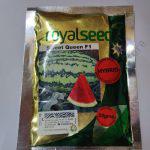 Watermelon Sweet Queen 50g