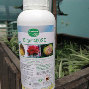 Bigo 400sc 500ml