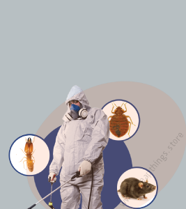 Pest Control