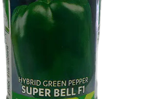 Superbell F1 Pepper (capsicum) 250g