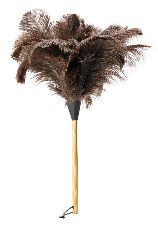 feather-duster-600x855