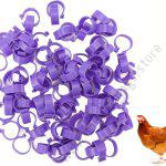 Birds or Chicken Leg Bands Purple 1pc