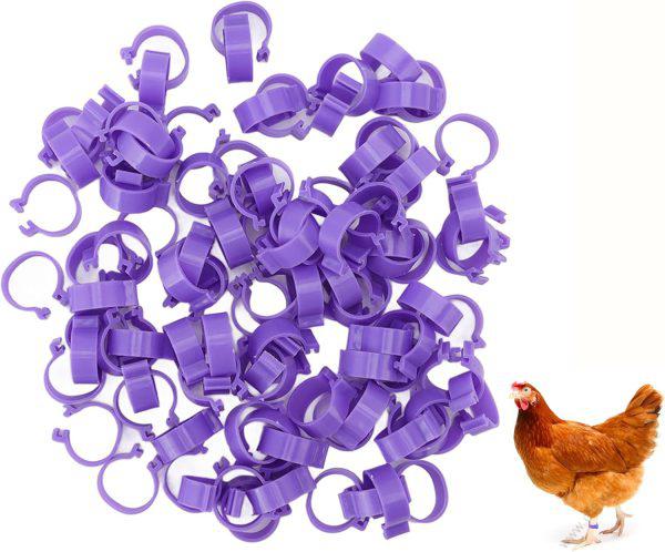 Birds or Chicken Leg Bands Purple 1pc
