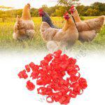 Birds or Chicken Leg Bands Red 1pc