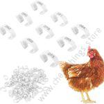 Birds or Chicken Leg Bands White 1pc