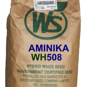 Aminika WH 508 Maize Seeds 2kg