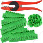 Cow Ear Tags Green 100pcs + 1 Applicator