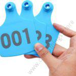 Cow Ear Tags Blue 100pcs