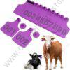 Cow Ear Tags Purple 100pcs