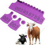 Cow Ear Tags Purple 100pcs