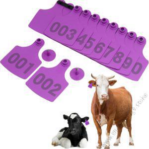 Cow Ear Tags Purple 100pcs
