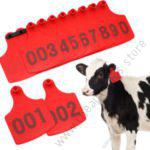 Cow Ear Tags Red 100pcs