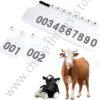 Cow Ear Tags White 100pcs