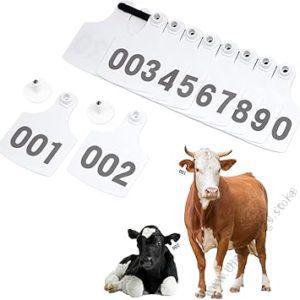 Cow Ear Tags White 100pcs