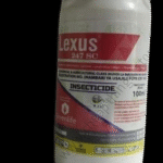 Lexus 247 SC 100ml