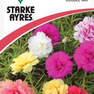 Portulaca Double mix flower seeds