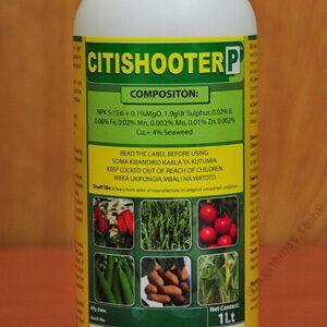 Citishooter 1L