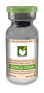 10 X Gumboro (Georgia Strain) Vaccine (1000doses)
