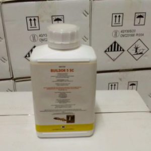 Buildor 5 SC - Antitermite - 1ltr