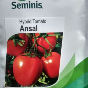 Ansal F1 Hybrid Tomato (Seminis) - 50g