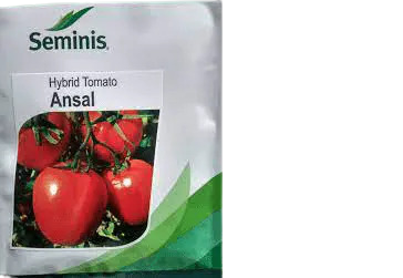 Ansal F1 tomato 10g