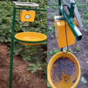 Solar Insect Trap 1pc