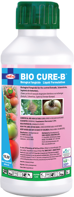 Bio Cure B 1L