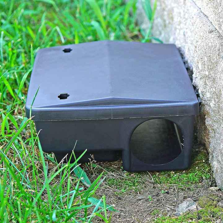 Bait Box - 1pc
