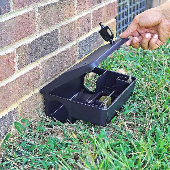 Bait Box - 1pc