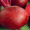 Red beet Detroit 250g