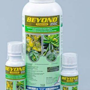 6 X Beyond 25C (1L)