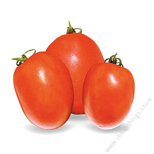 Big Rock F1 Tomatoes 1,000 Seeds