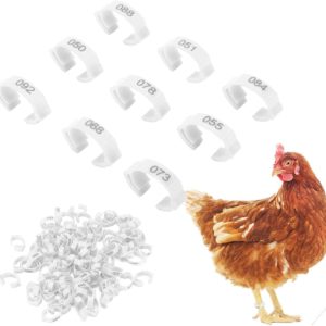 Birds or Chicken Leg Bands White 1pc
