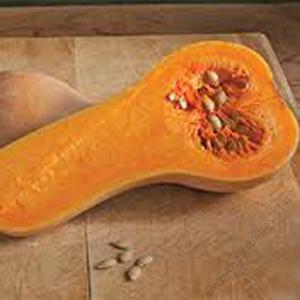 Squash Jupiter F1 10g