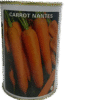 Carrot Nantes 50g