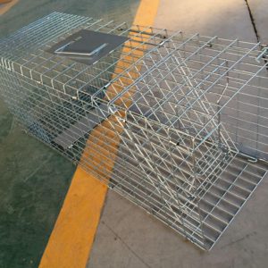 Collapsible Feral Cat Trap