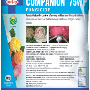Companion 75 WP (50g)