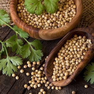 Coriander Dhania 25g