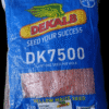 DK 7500 Hybrid Yellow Maize 2Kg