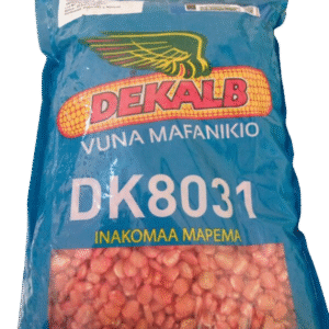 DK 8031 Hybrid Maize Seeds 2kg
