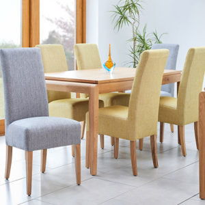 Dining Chair Wet & Dry Vacuum Cleaning