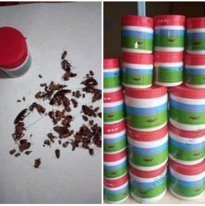 Essie Mugo Cockroach Paste 500g